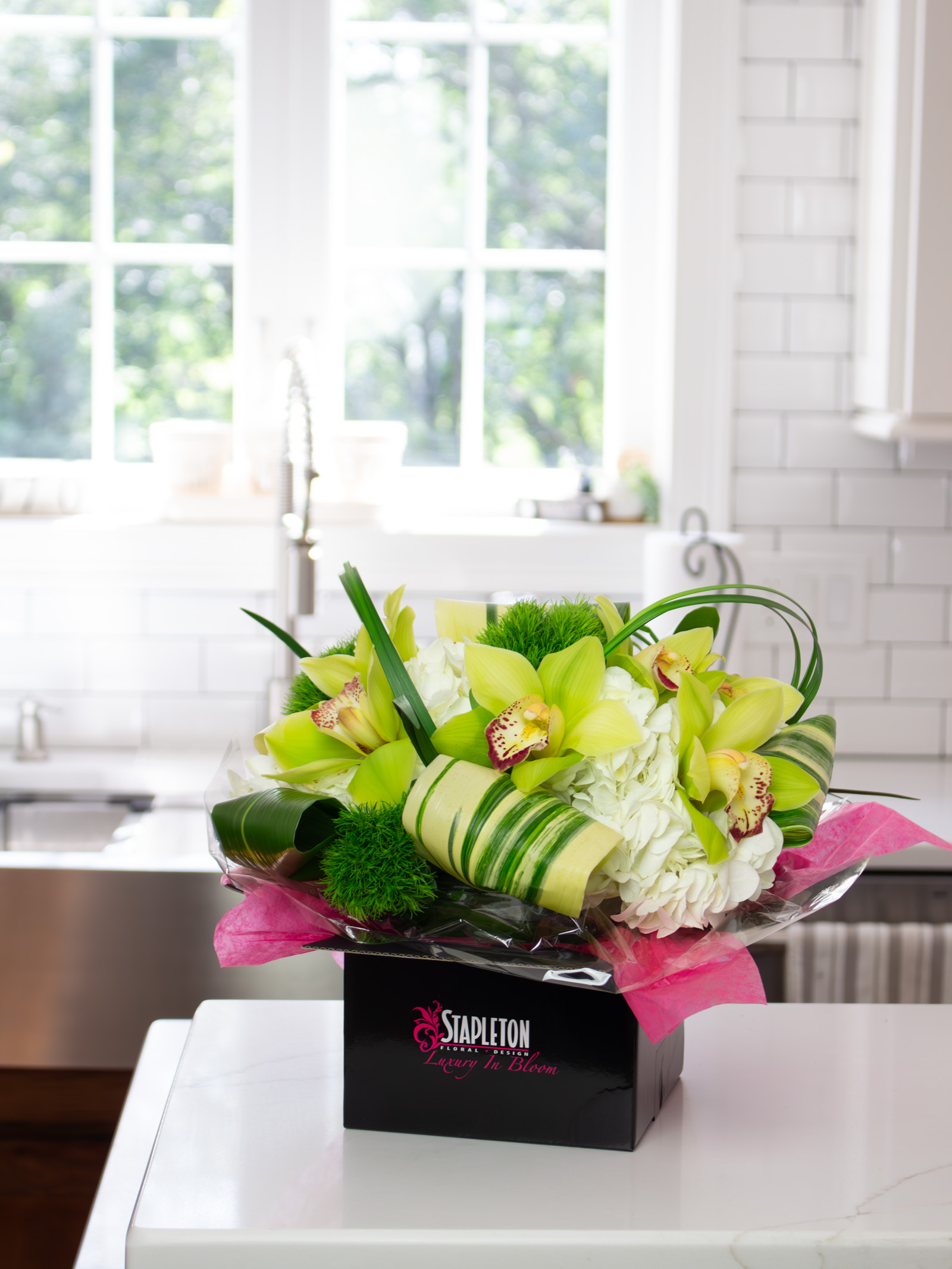 Residential Photoshoot-31