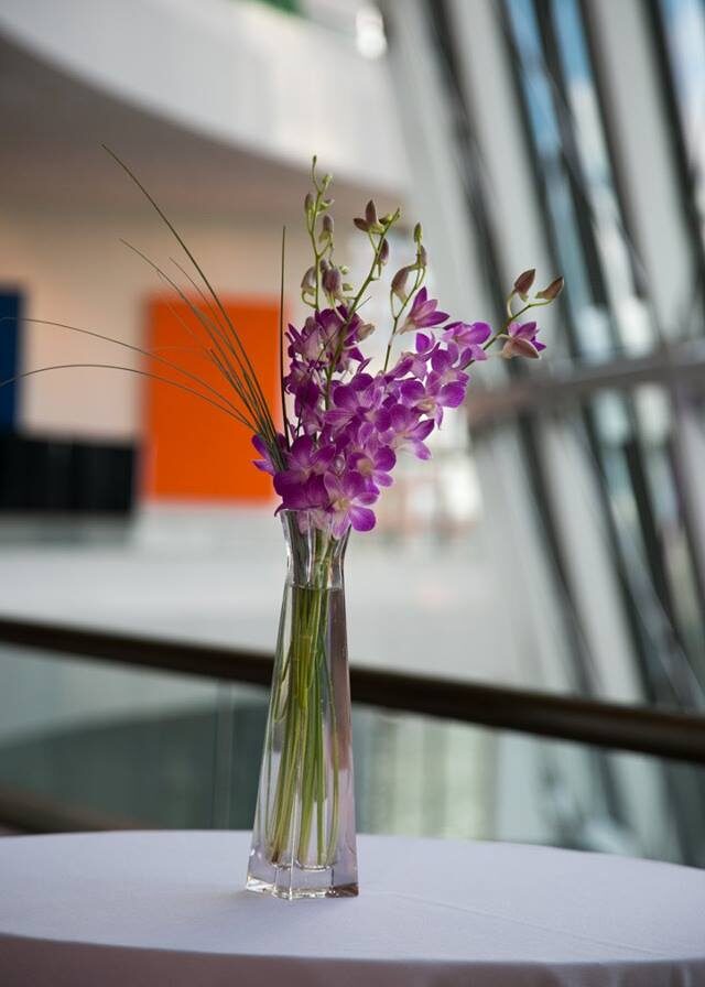 18402834_10155616329702784_6675380149086444855_n