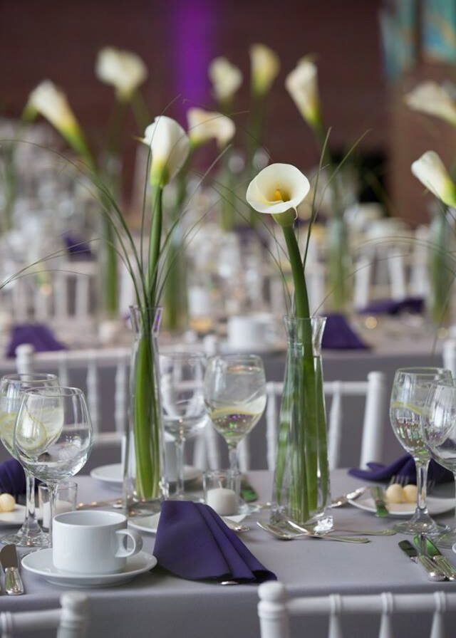 18425022_10155616438097784_4080477786452565769_n