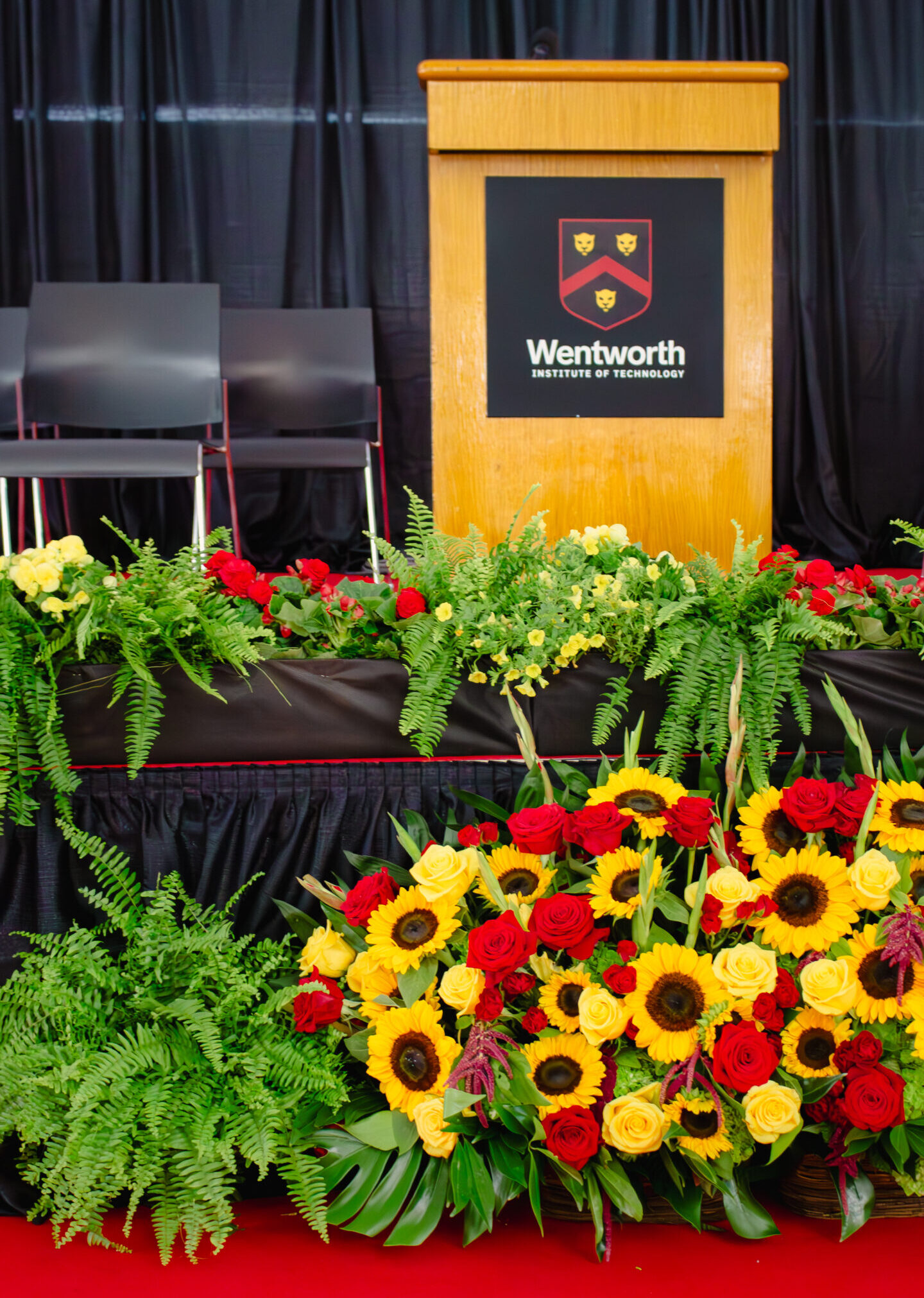 IMG_8297-Enhanced-NR