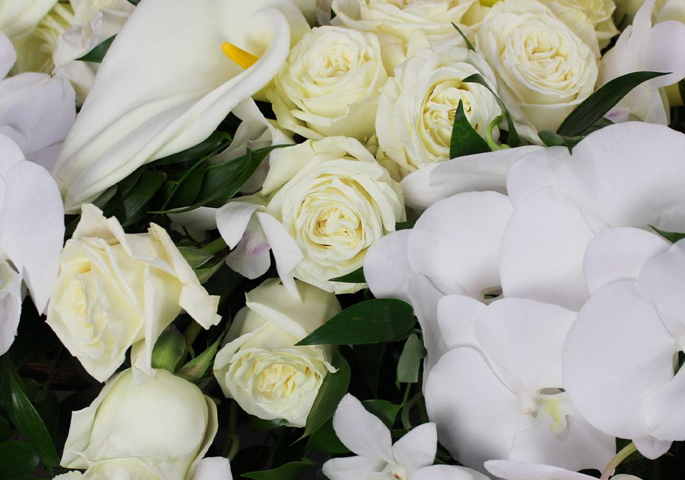 Blanc-Calla-Sympathy-Urn_tf_Enviornmental