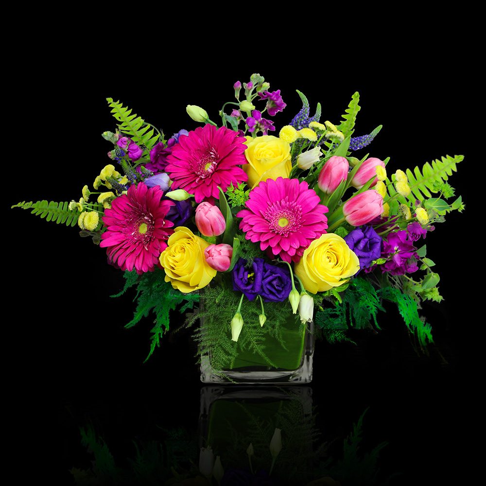 positively-cheerful2025_tf_closeup positively-cheerful2025_tf_closeup